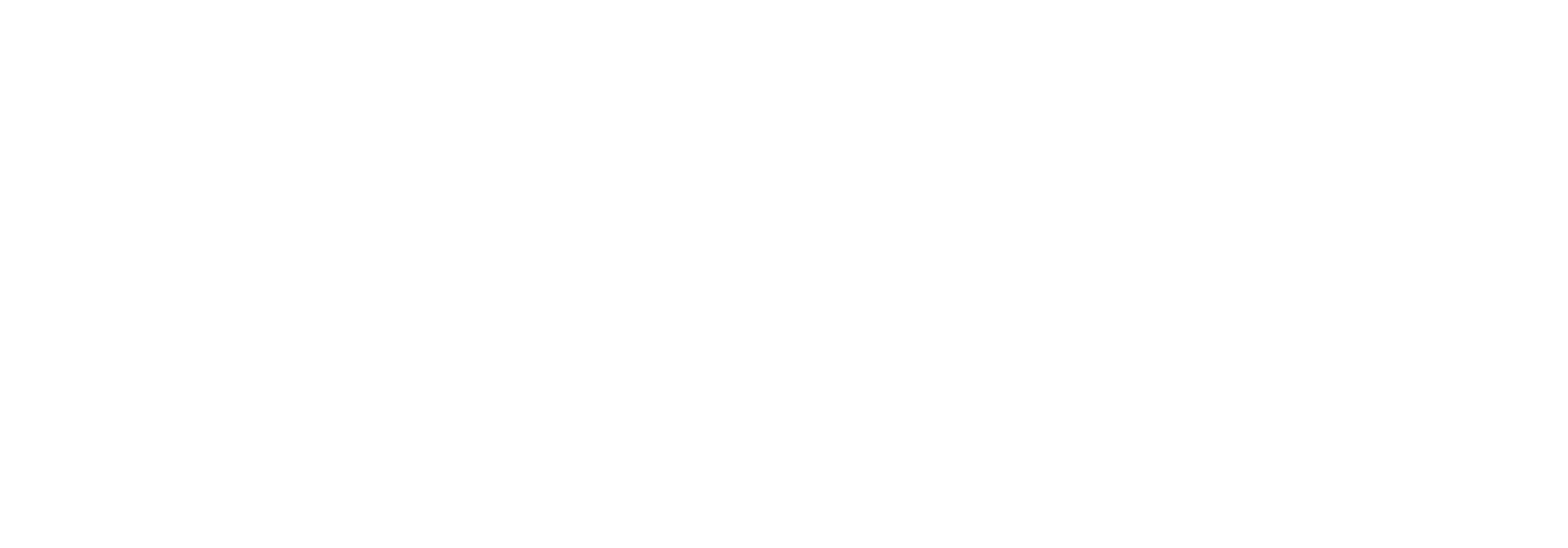 Afrika Porini Safaris